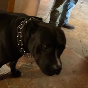 Meet your Posher, Pablo